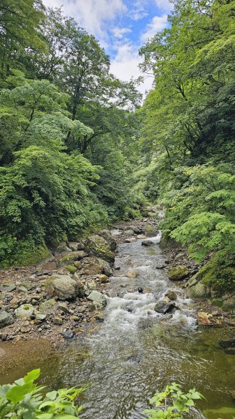 240814-白神山地世界自然遺產地域。美美兔不能錯過的日本東北健行路線。2603908