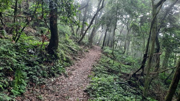 《雲林》望好望角｜石壁山嘉南雲峰步道(中側登山口）202506072805420