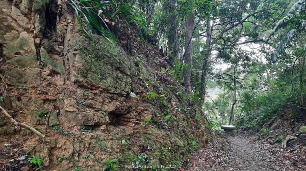 《苗栗》台鐵舊山線｜三義勝興鐵道覓境及挑柴古道O繞202501192693540