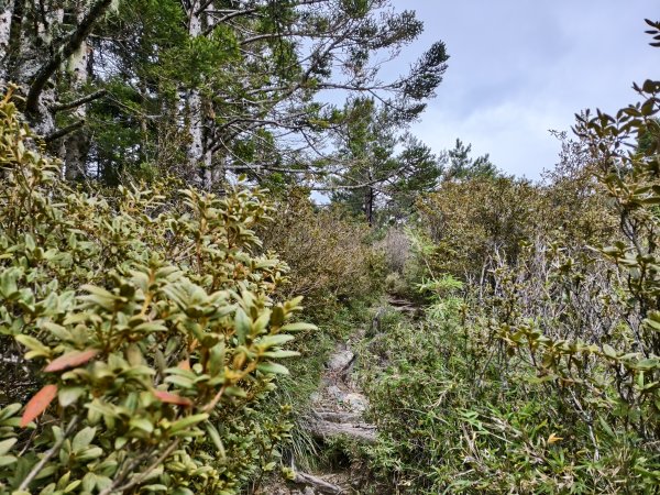 北一段(13/14)審馬陣山 2025_0906~132887547