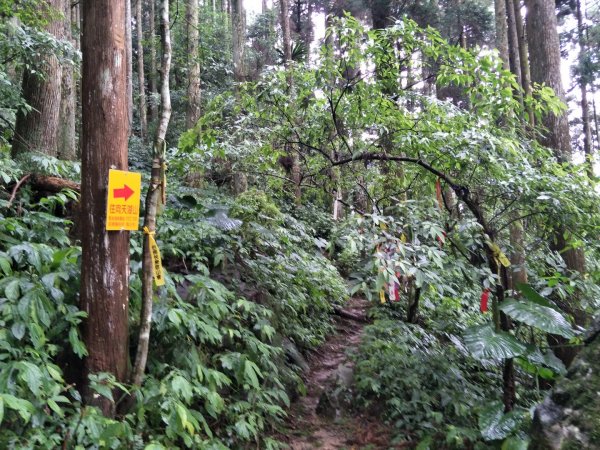 小百岳:向天湖山O型光天高山1432555