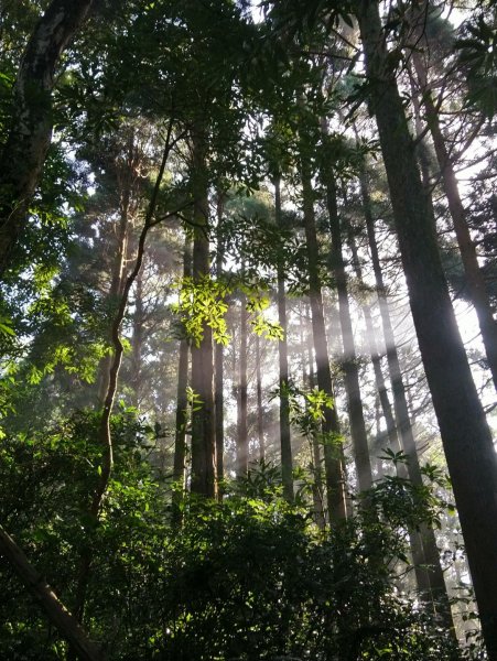 馬武督山，蓮包山，鴛鴦谷瀑布連走671679