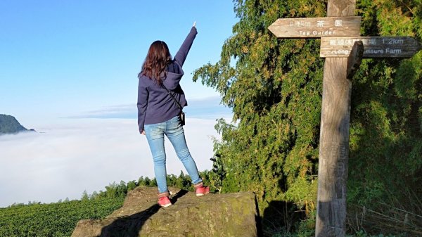 【巃頭-龍銀山天氣】阿里山日出私房秘境691538
