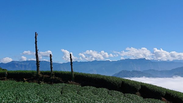 20201108雲嘉五連峰1625520