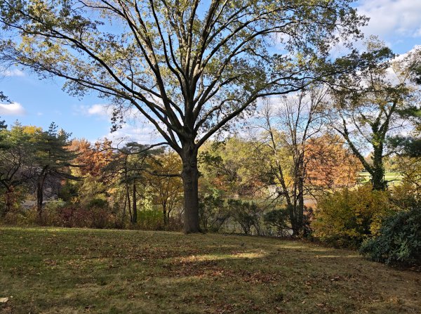 [紐約馬之行-13] 2025_1101 中央公園-眺望台城堡2945189