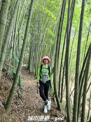 【台中和平】橫嶺山自然步道_木馬古道3095036