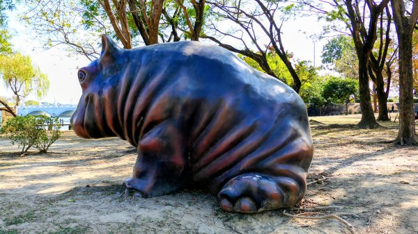 琴弦上的白宮2987575