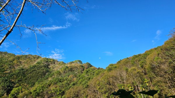 獵人古道、望美山、往瓊山的路上風景2408099