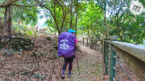 阿里山山脈越嶺步道大串走D3543739