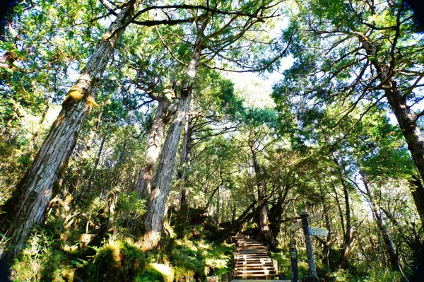 宜蘭 大同 多門山3127621