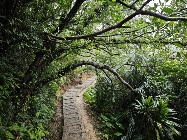 2026_0131 獅球嶺西砲台2997805