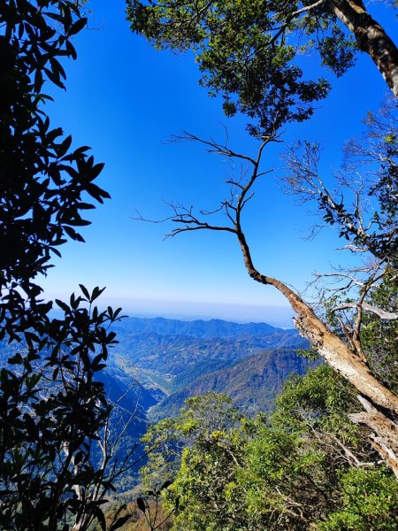 泰安鳥嘴山（上島）2689342