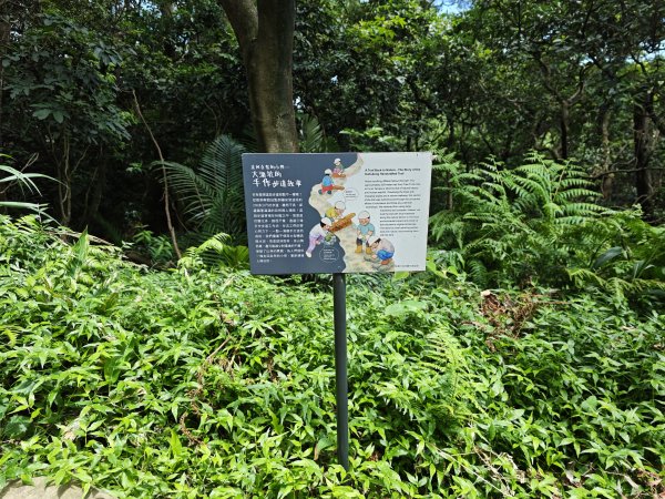 [微笑山線_第三段] 2026_0725 新北桃園登山步道_大湖之森步道3101680
