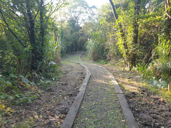 暖暖車站上五分山經荖寮山下荖寮坑回程1655762