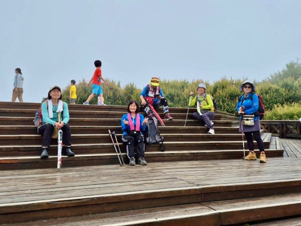 阿里山小笠原祝山森林遊3091572