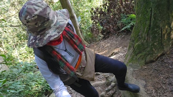 20251216太平山石門山小粗坑山O型+蕃薯藤TINA廚房2972551