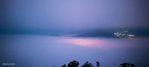 #翡翠水庫 #鱷魚島  #藍腹鷴 4/232768281
