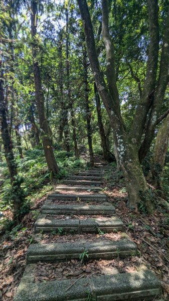 關刀山步道 (出關古道：聖關段)2532831