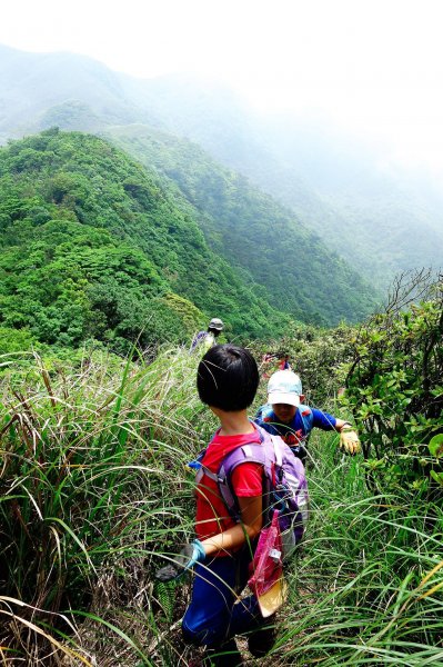 小觀音山主峰下竿尾崙572331