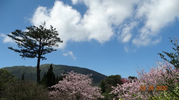 仙境?!雲霧繚繞! 2020/4th雲瀑853523