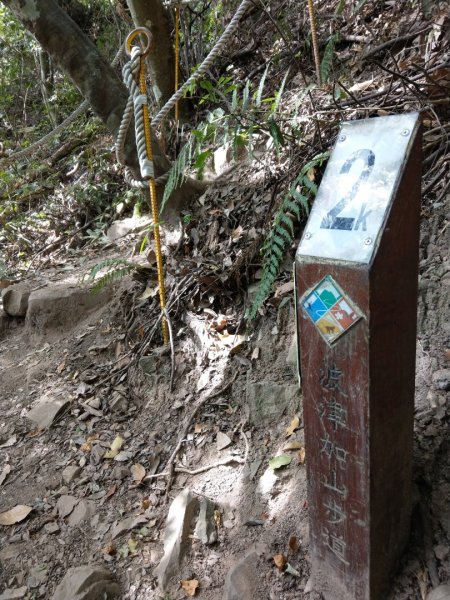 谷關七雄之波津加山（4）763734