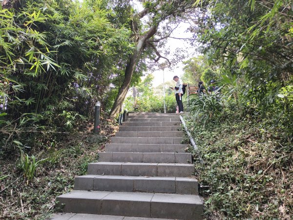 [百山百鳥尋旅-15/15] 2025_0929 硬漢嶺步道(觀音山)2900997