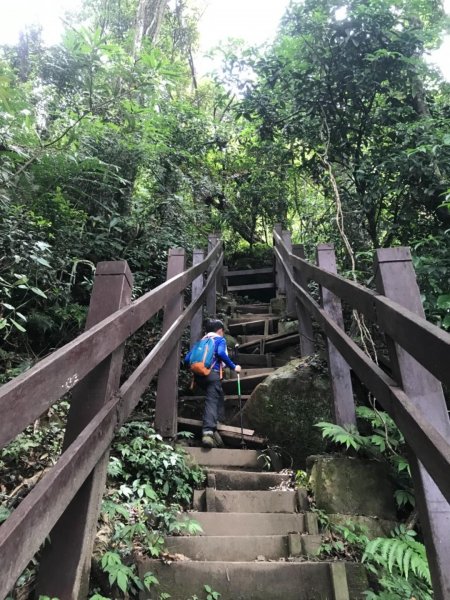 新竹五指山599748