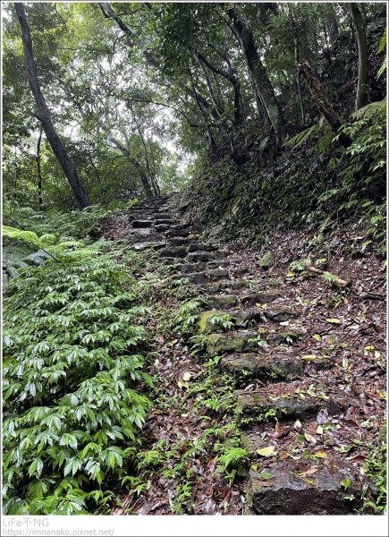 天母雨天健行1721592