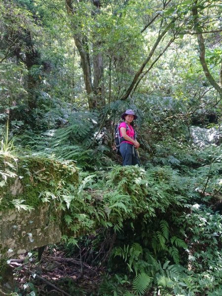 淡蘭烏山古道西段、網形山O走1434241