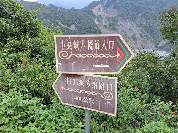 高雄北柴山，田寮月世界，大崗山，小崗山，龍頭山步道3122607