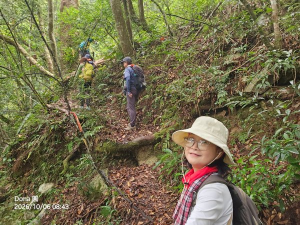 屯野生台山(秀巒山)＆石麻達山連走3129371