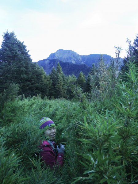 志佳陽大山 賞旭日雲彩 08/15-161072660