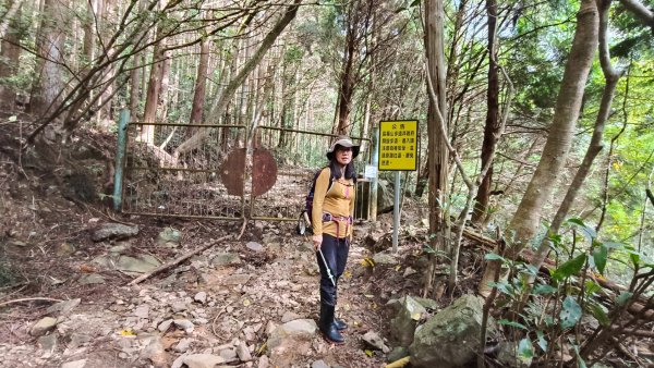 肥大醜三崠連走，鳶嘴西陵上鳶嘴山2650322