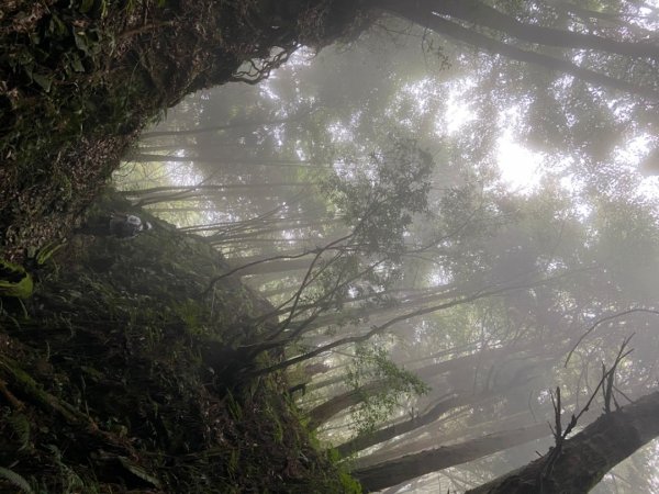 谷關七雄-馬侖山1116745