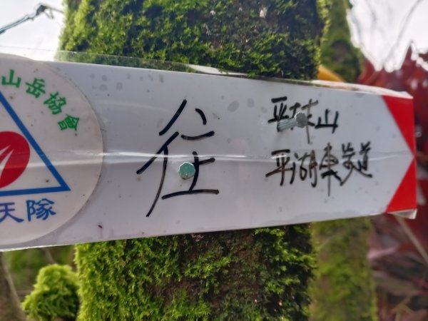 雙溪區彎穹平林山+平湖東步道+紙坑古道(億山煤礦)+紙坑山出平水聚落O型2965783