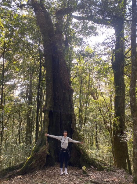 2024/3/23稍來山2738286