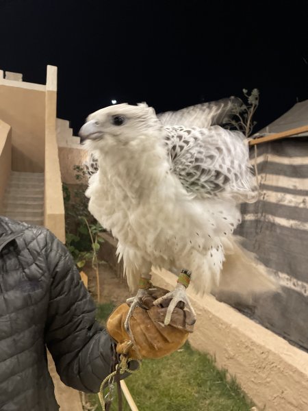 沙烏地阿拉伯「世界之崖」絕美落日Edge of the world, Saudi Arabia2985280