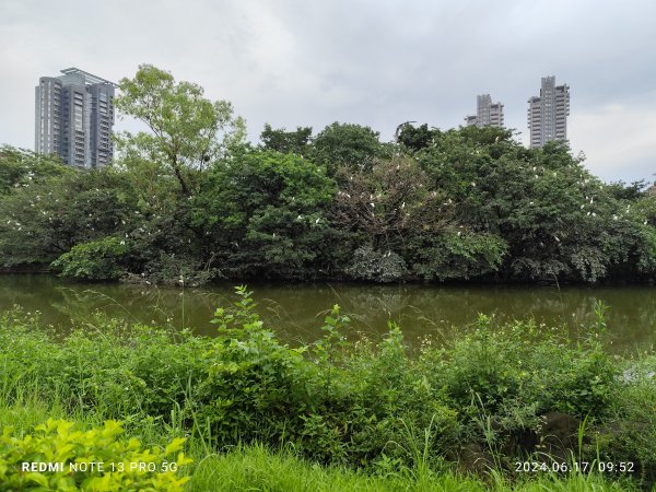 大安森林公園【走路趣尋寶，全臺齊步走】2529449