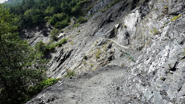 不一樣的角度欣賞奇萊南華之美登尾上山上深堀山經能高越嶺道兩日微探勘O型1886415