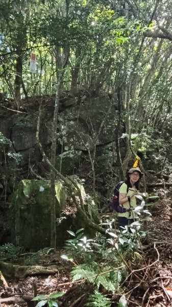 大混李棟山2816340