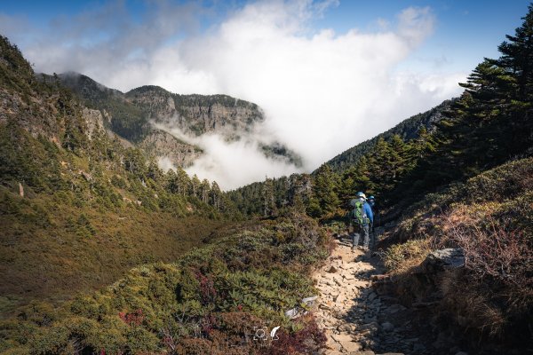 心映雪翠｜Mt.Xue｜Taiwan 785819