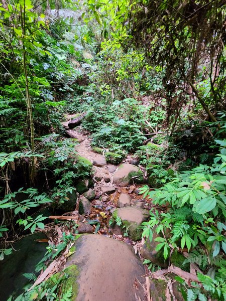 小百岳集起來-石牛山2183128