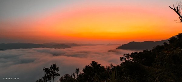 #坪林 #火燒雲 #日出 #雲海 #觀音圈 #金山 #花鳥蝶 6/3&4&163068865