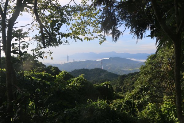 雨後猴山坑山嵐飄渺2579436