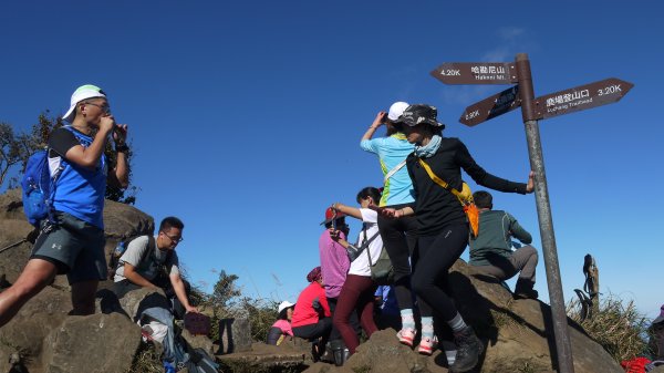 加里山登山健行趣(小百岳42)1527384