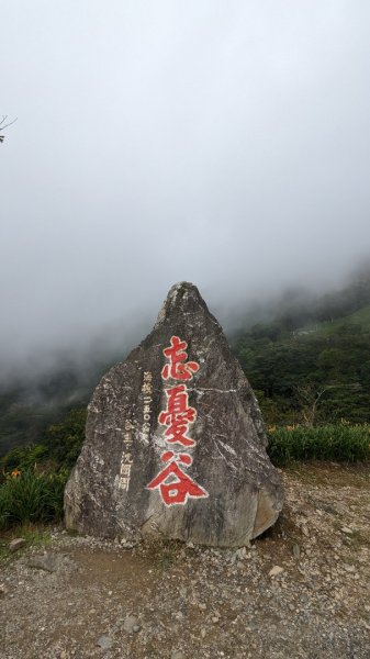 太麻里山2245521