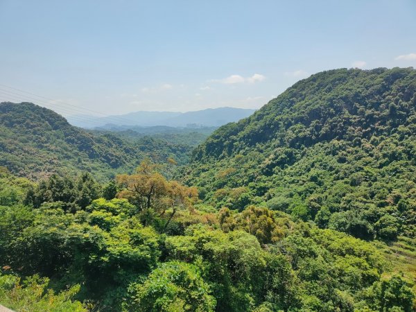 ［2023 台北大縱走第四段］（大湖捷運~楓櫃嘴）2189126