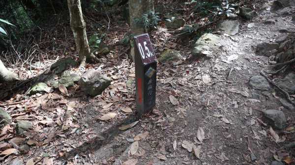 唐麻丹山登山健行趣(中級山)1903389