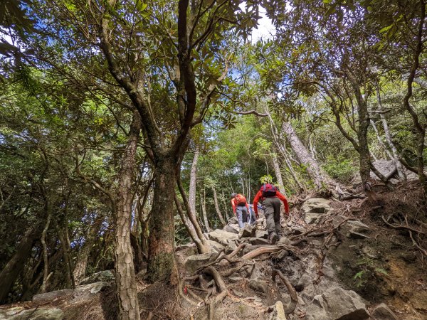 鳶嘴山稍來山1885855