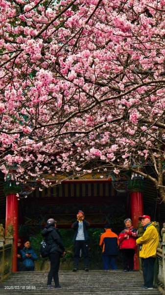 內湖碧山巖 2/182714782